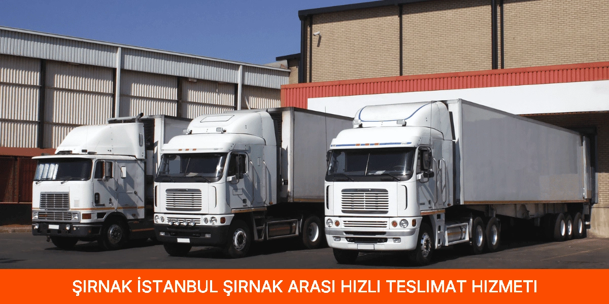 İstanbul Şırnak Arası Hızlı Teslimat Hizmeti