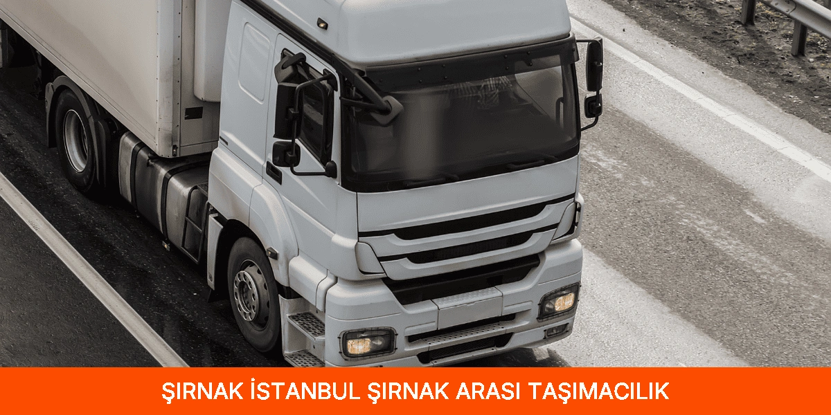 İstanbul Şırnak Arası Taşımacılık