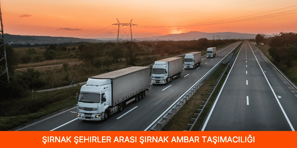 Şehirler Arası Şırnak Ambar Taşımacılığı